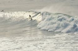 Santa Cruz surfer