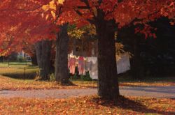 Minot, Maine