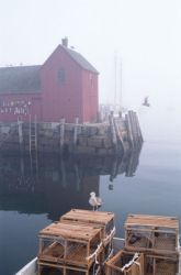 Cape Ann