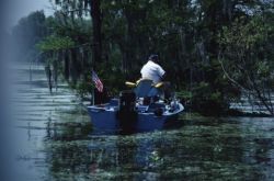 Atchafalaya Basin