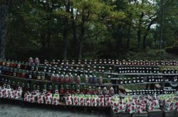 Roadside Stand