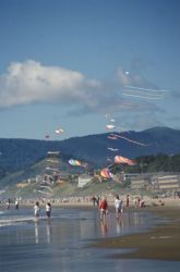 Cannon Beach