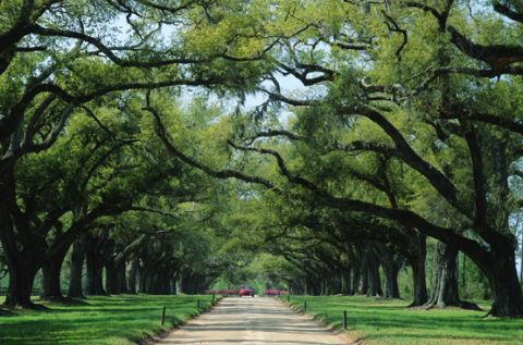 south carolina